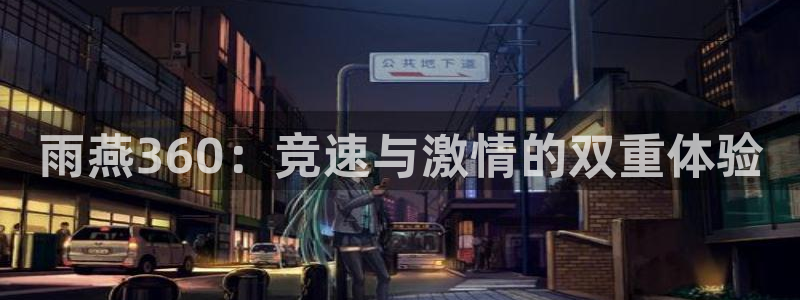 新球：雨燕360：竞速与激情的双重体验