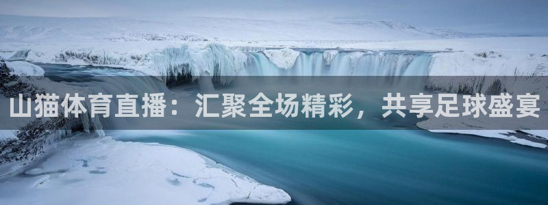 新球体育足球比分：山猫体育直播：汇聚全场精彩，共享足球盛宴