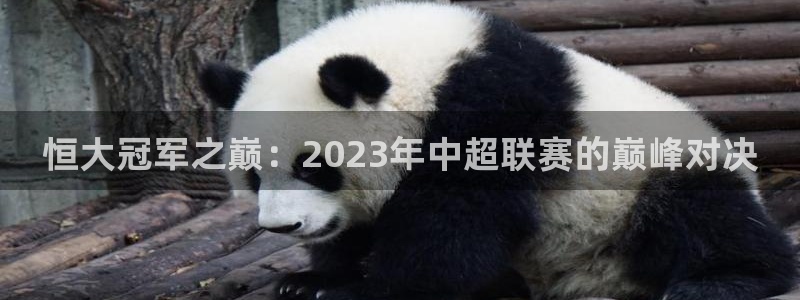 新球直播：恒大冠军之巅：2023年中超联赛的巅峰对决