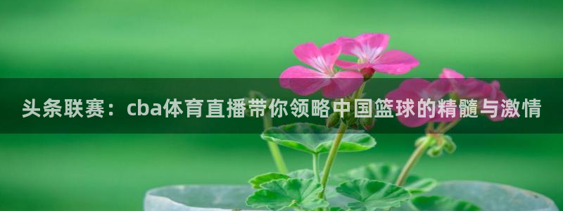 新球网直播：头条联赛：cba体育直播带你领略中国篮球的精髓与激情