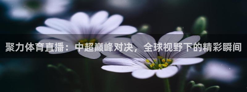 新球体育赛事：聚力体育直播：中超巅峰对决，全球视野下的精彩瞬间
