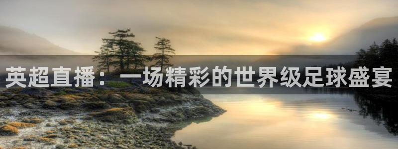 新球足球直播：英超直播：一场精彩的世界级足球盛宴