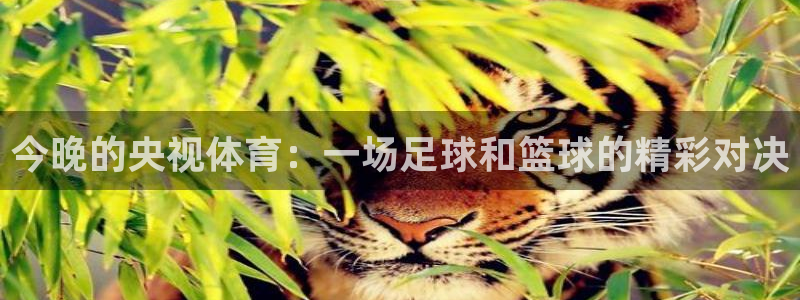 新球体育足球：今晚的央视体育：一场足球和篮球的精彩对决