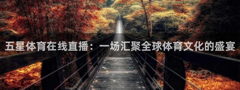 新球直播：五星体育在线直播：一场汇聚全球体育文化的盛宴