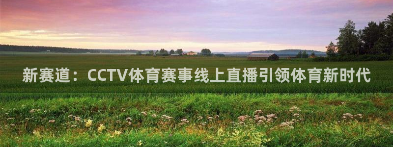 新球体育比分网：新赛道：CCTV体育赛事线上直播引领体育新时代