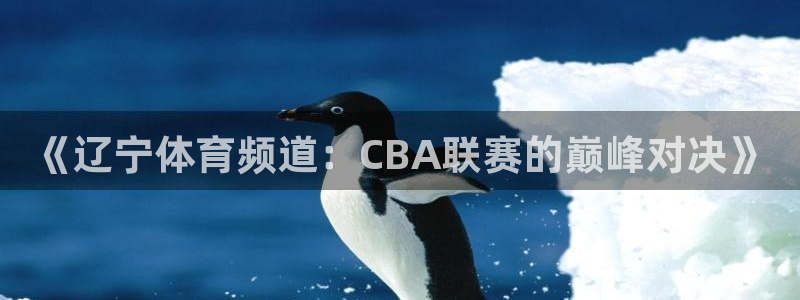 新球体育即时分：《辽宁体育频道：CBA联赛的巅峰对决》