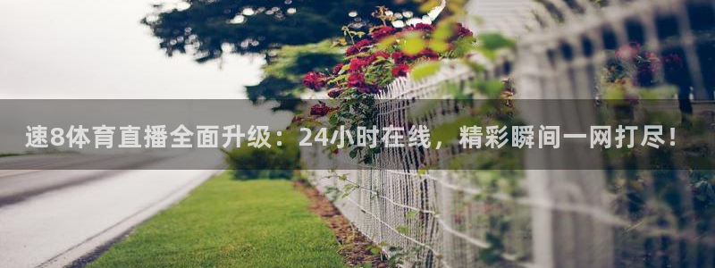 新球体育app