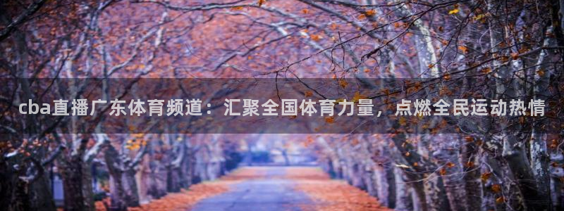 新球体育篮球比分