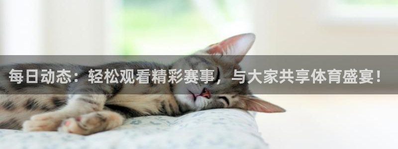 新球体育足球比分：每日动态：轻松观看精彩赛事，与大家共享体育盛宴！