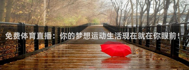 新球体育比分：免费体育直播：你的梦想运动生活现在就在你眼前！