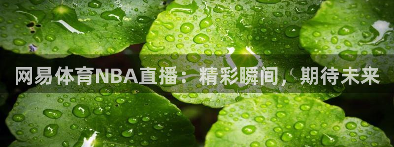 新球体育篮球比分：网易体育NBA直播：精彩瞬间，期待未来