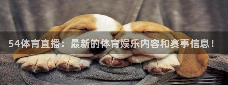新球体育app：54体育直播：最新的体育娱乐内容和赛事信息！